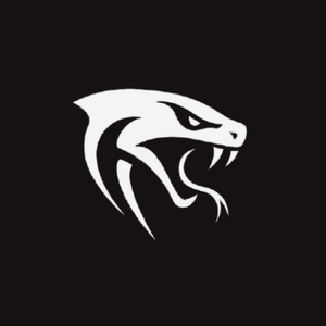 OBSDN — avatar