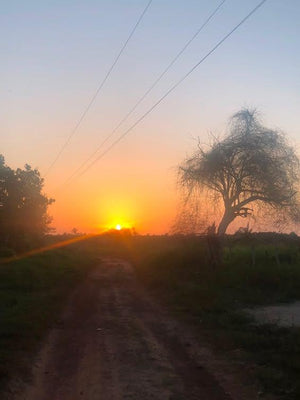 Casa da Lua — avatar