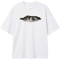 Branca