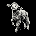 Tuaimagem Streetwear