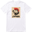 Branca