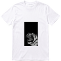 Branca