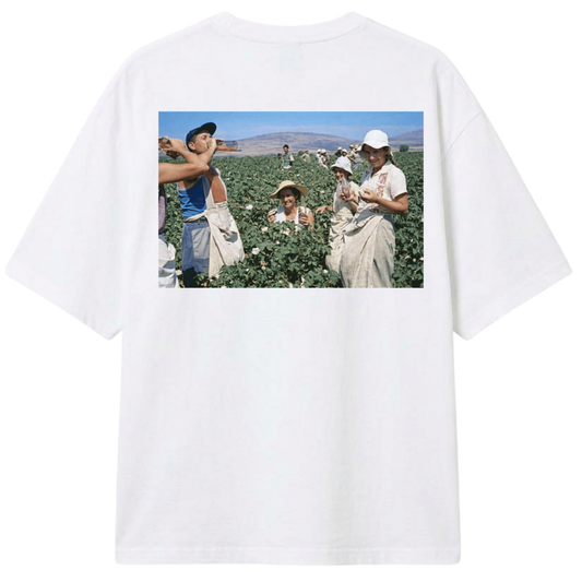 Branca