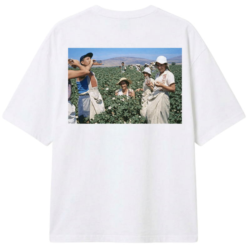 Branca