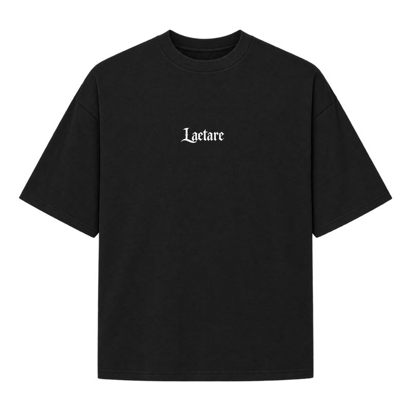 "Oversized - Leão XlV" Camiseta Oversized Suedine 220g