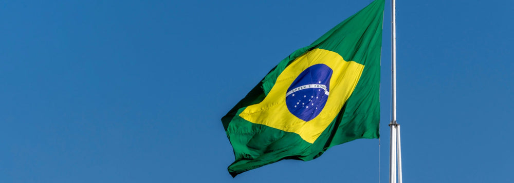 PÁTRIA AMADA — banner