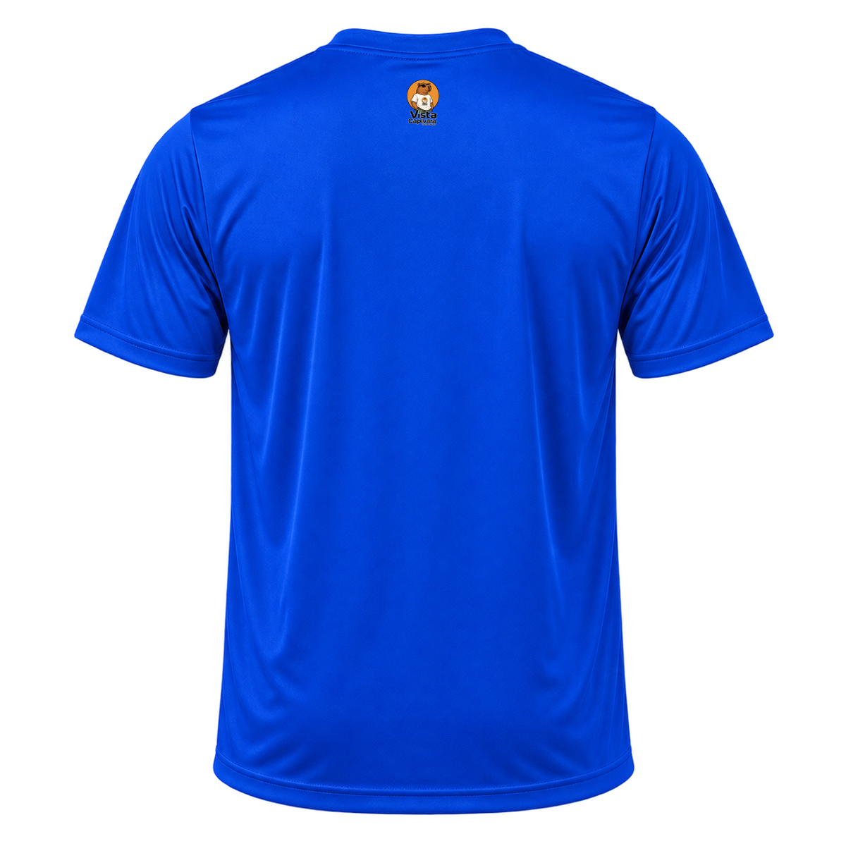 "AbapoCapi DTF" Camiseta Dryfit Masculina Basic