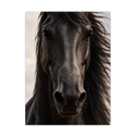 "Corcel Negro face" Poster
