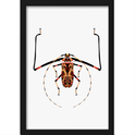 Quadro com estampa de inseto detalhado, simétrico, destacando suas longas antenas e padrões geométricos intricados sobre o corpo e as pernas.