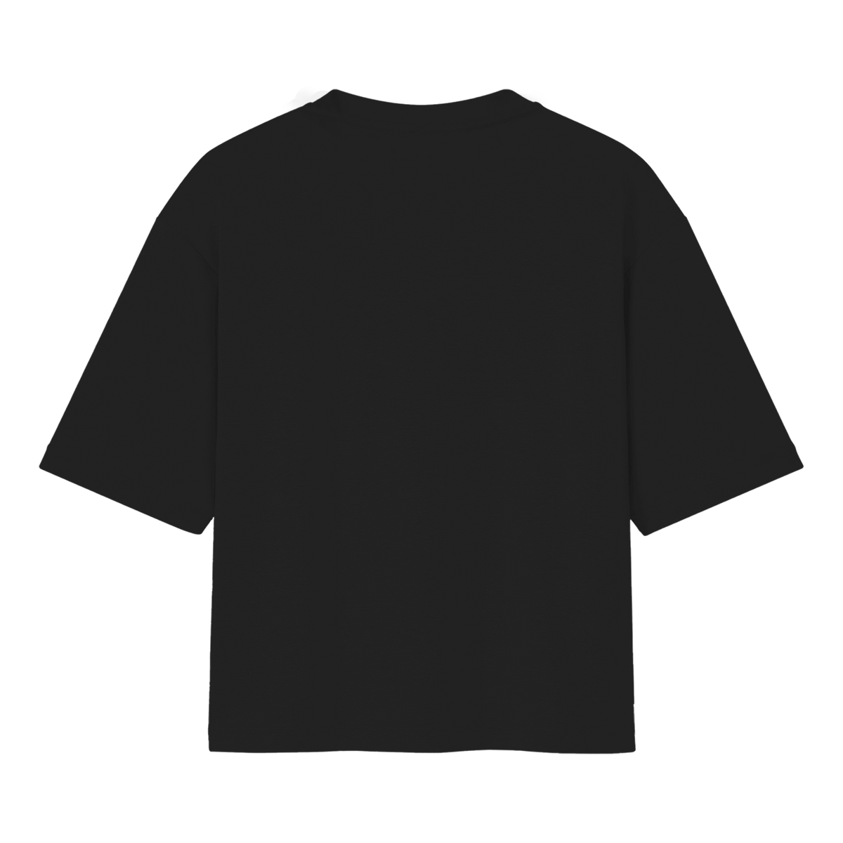 Camiseta sem estampa visível.